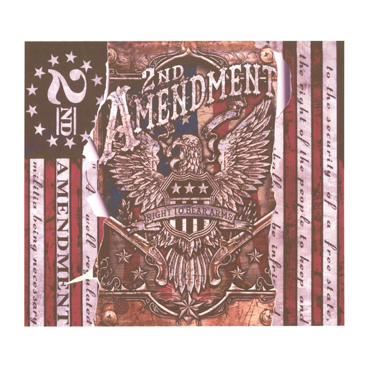 3 - 2nd Amendment (Sublimation)